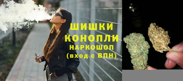 спайс Касимов