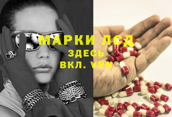 спайс Касимов