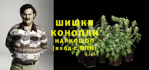 спайс Касимов